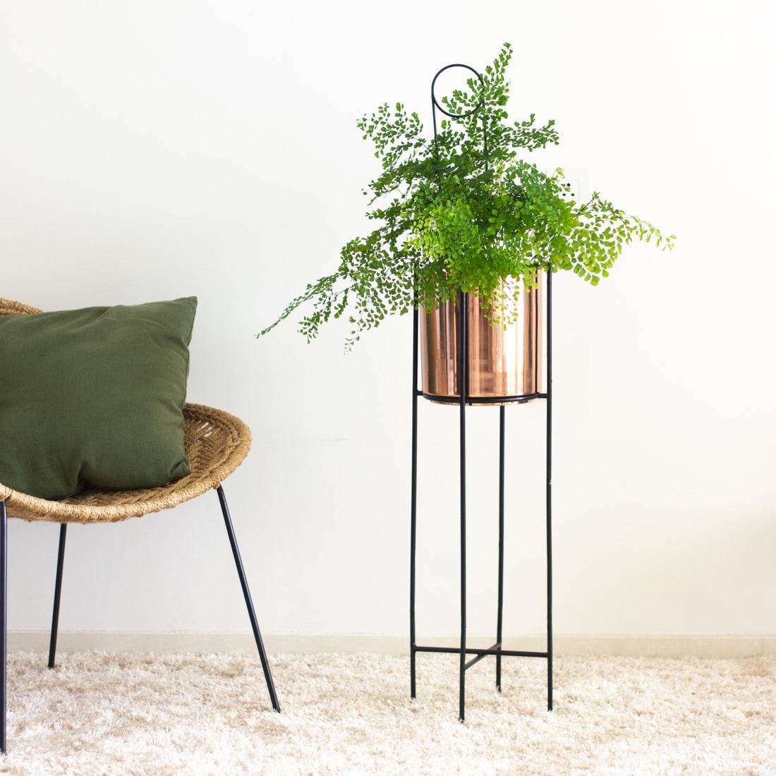 Marigold copper planters in a living  room with fern plant