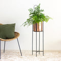Marigold copper planters in a living  room with fern plant
