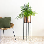 Marigold copper planters in a living  room with fern plant