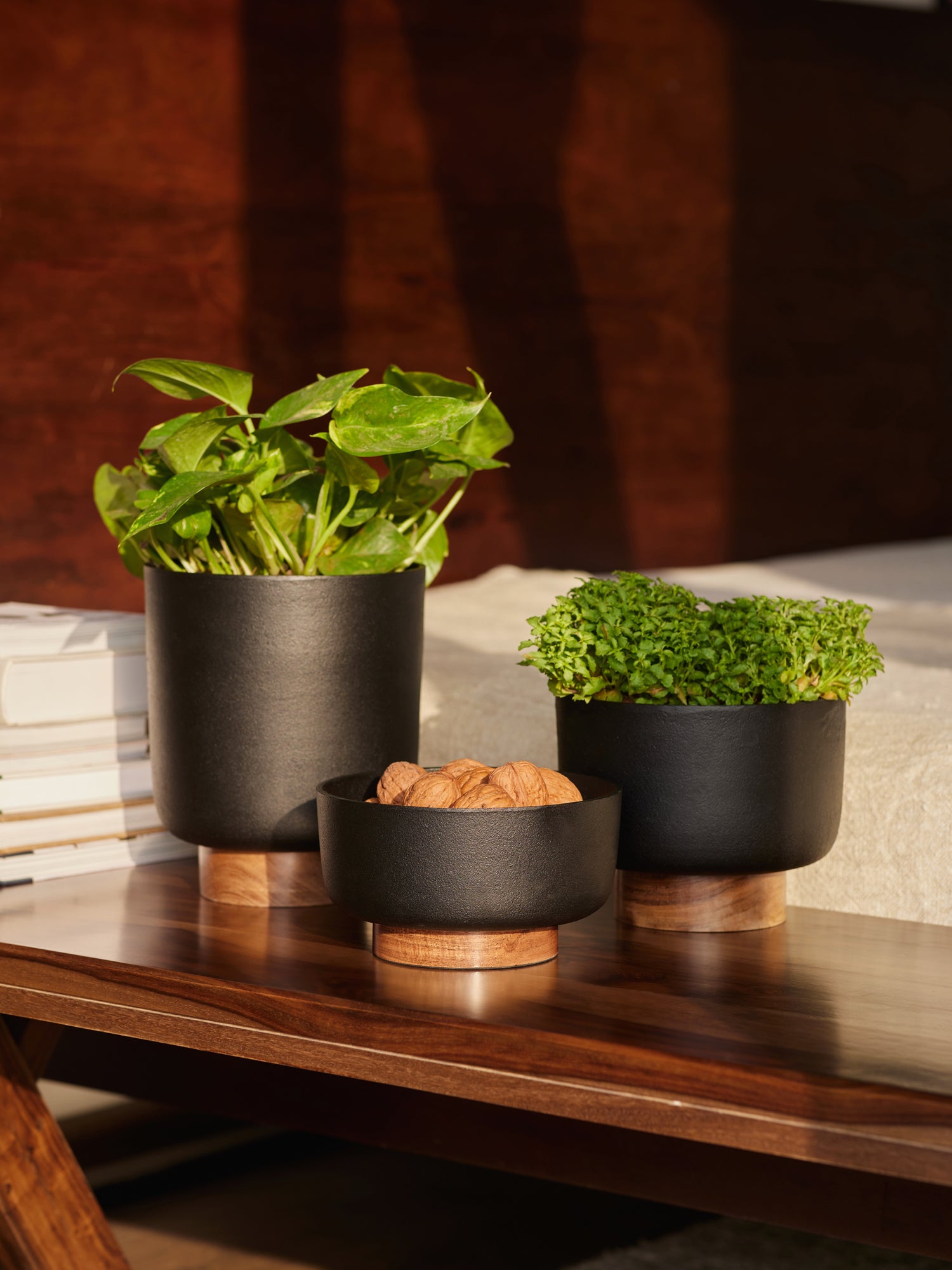 Metal &amp; wood decorative indoor flower pots 