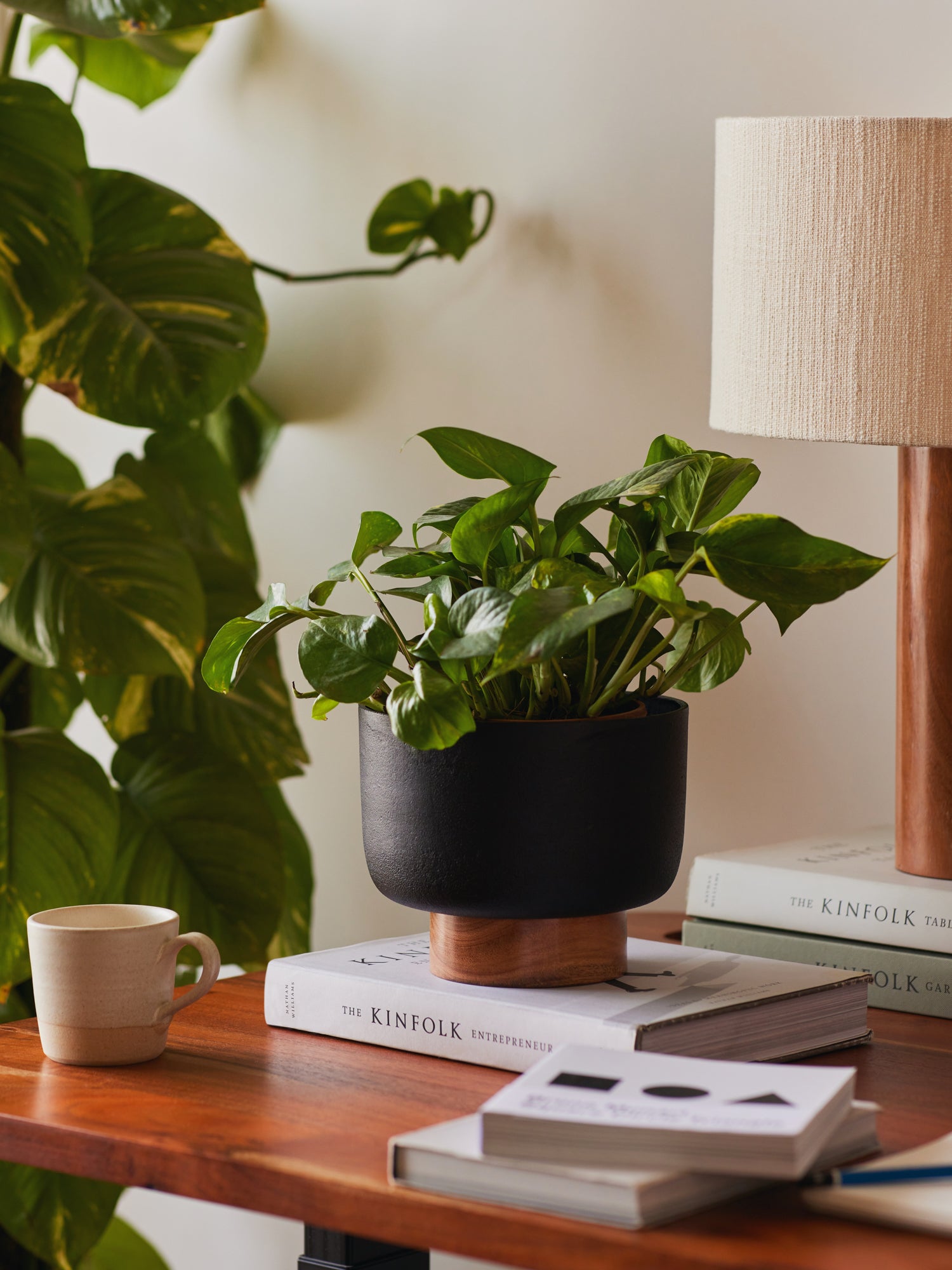 Small modern indoor plant pots