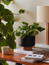 Small modern indoor plant pots