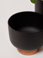 Black decorative pots for succulents