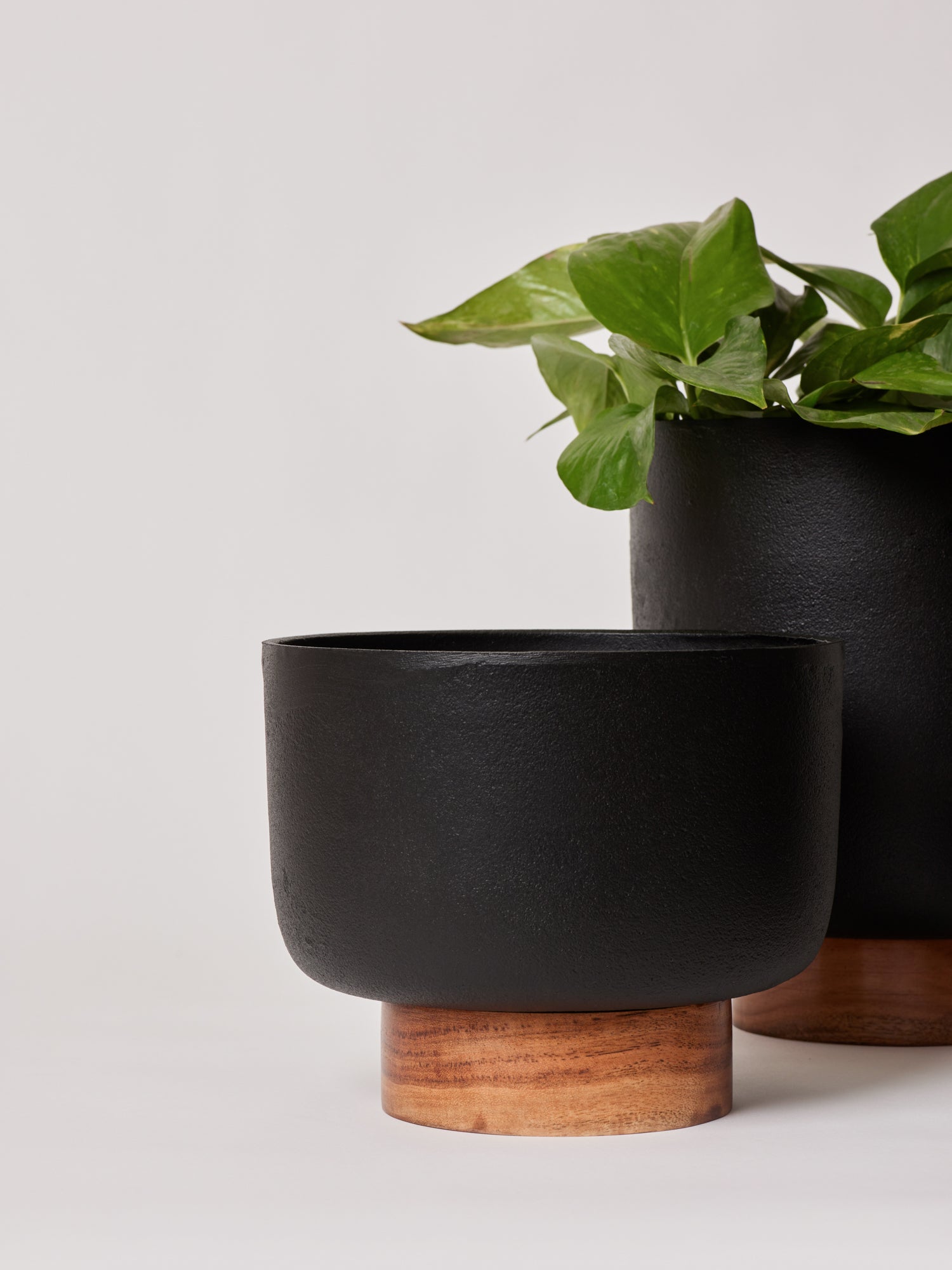 Black indoor decorative planters