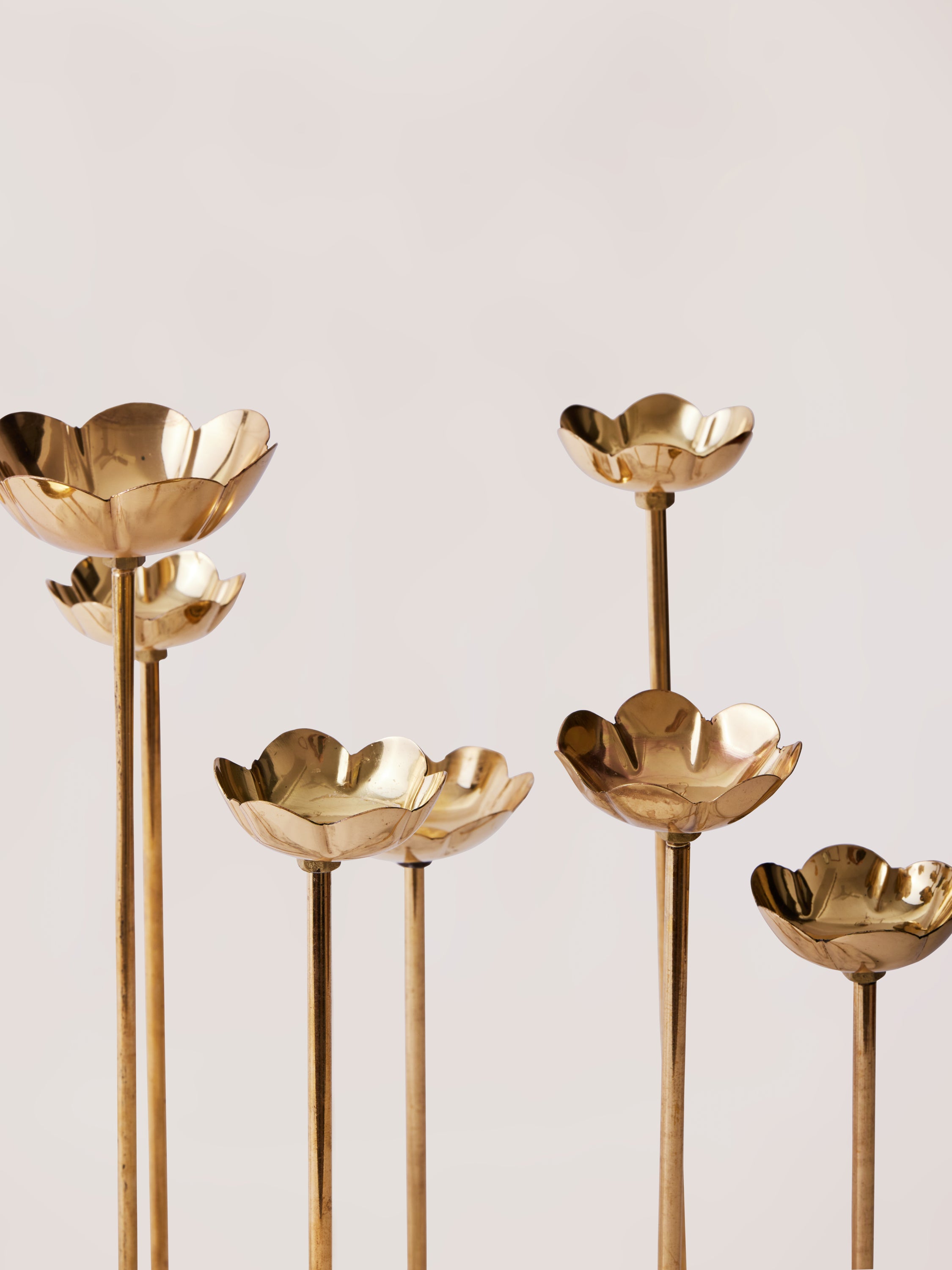 Oblong Lotus Centrepiece, 11 flowers - Fleck