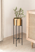 Dash Planters - Fleck