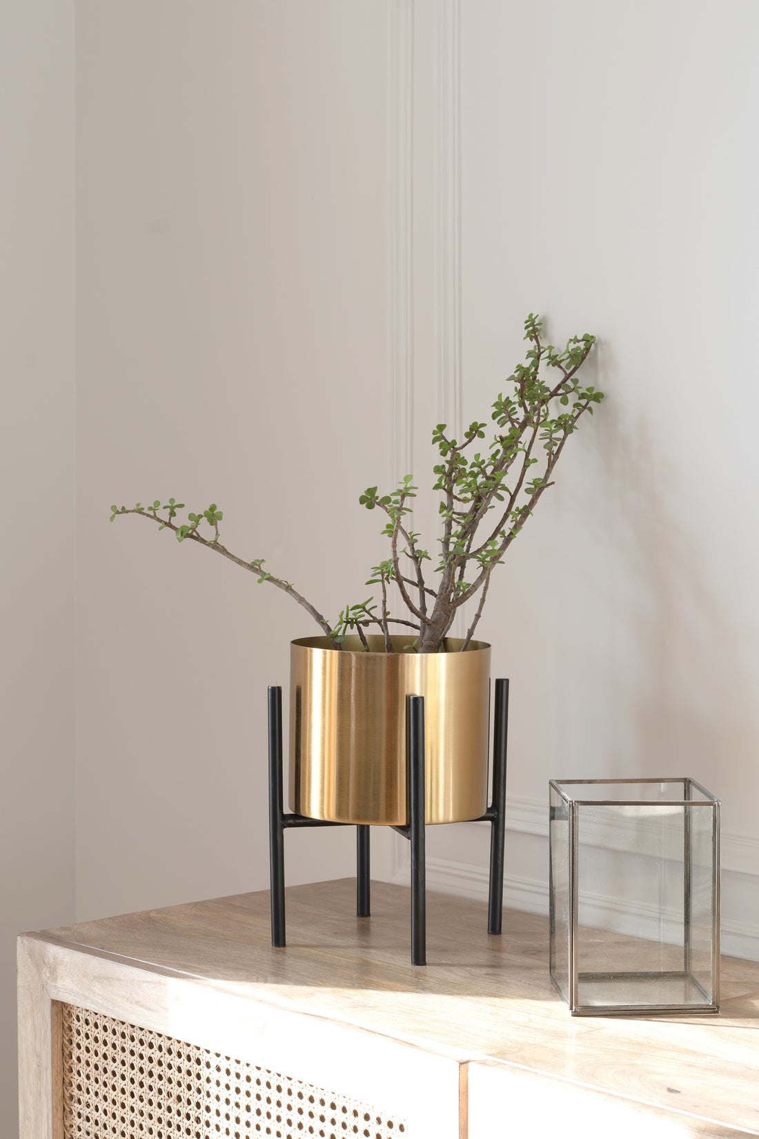Small golden planter with Black base.