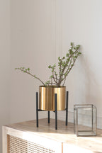 Small golden planter with Black base.