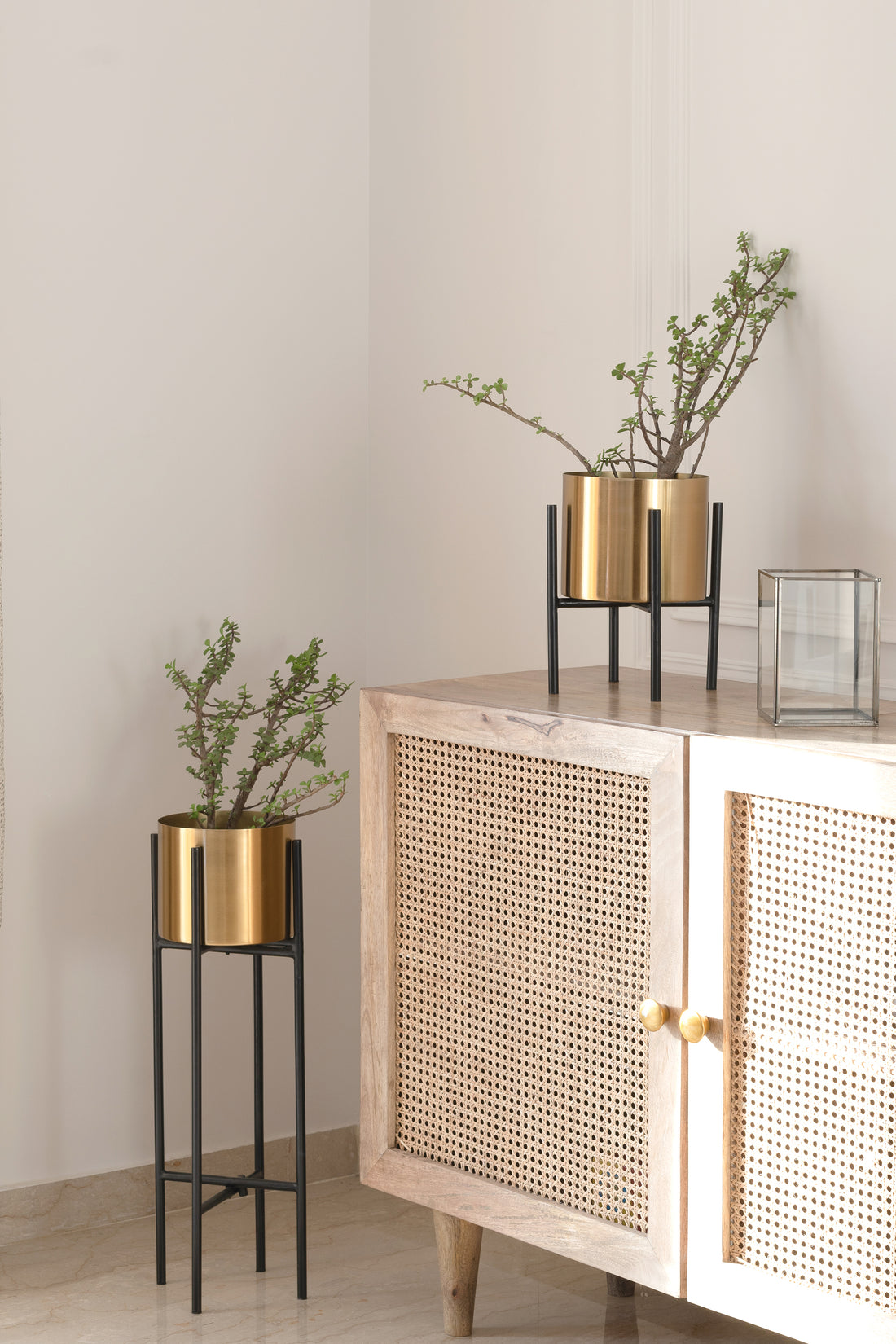 Dash Planters in golden and black.