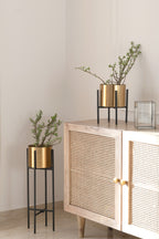 Dash Planters in golden and black.