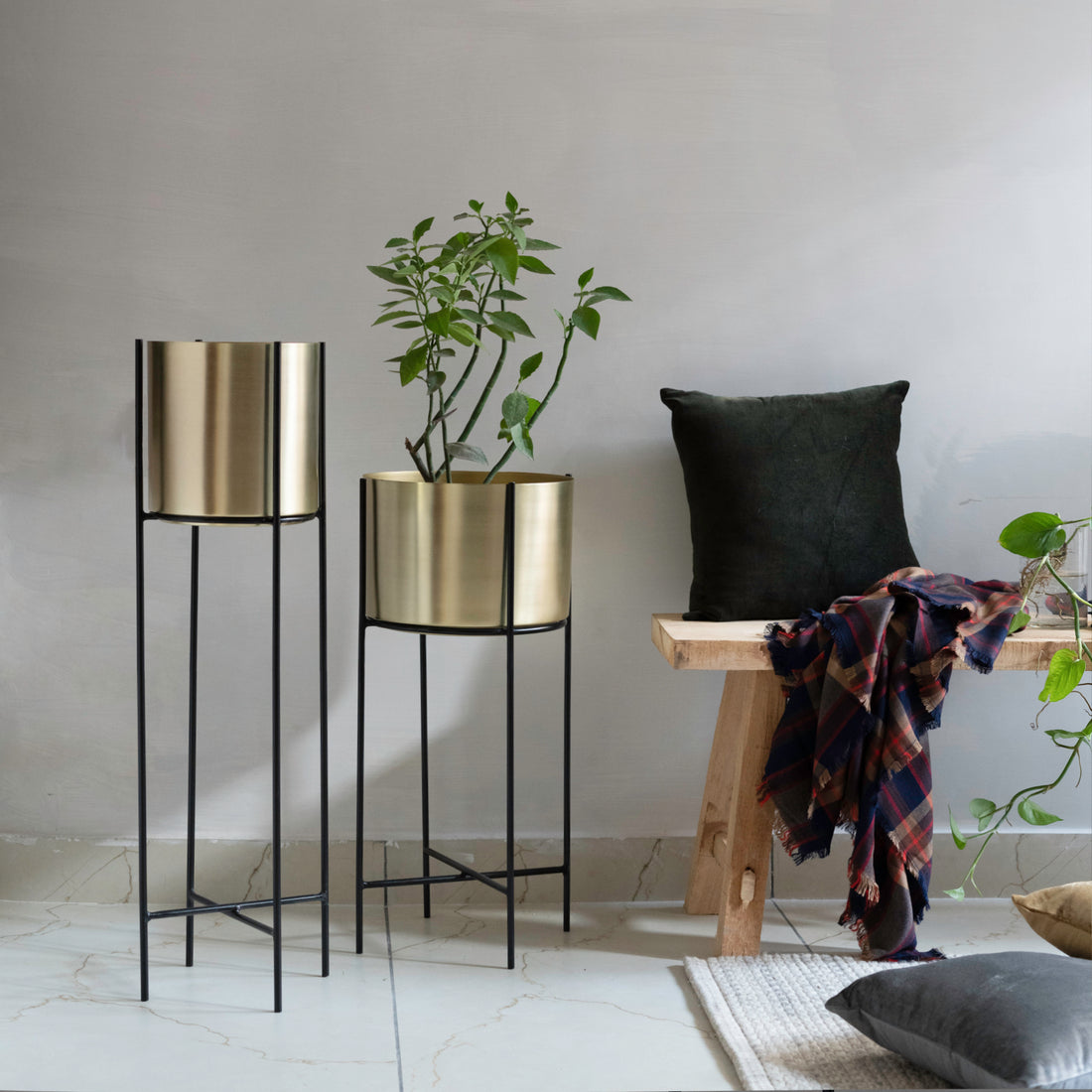 Marigold Planter, Tall, Matte gold - Fleck
