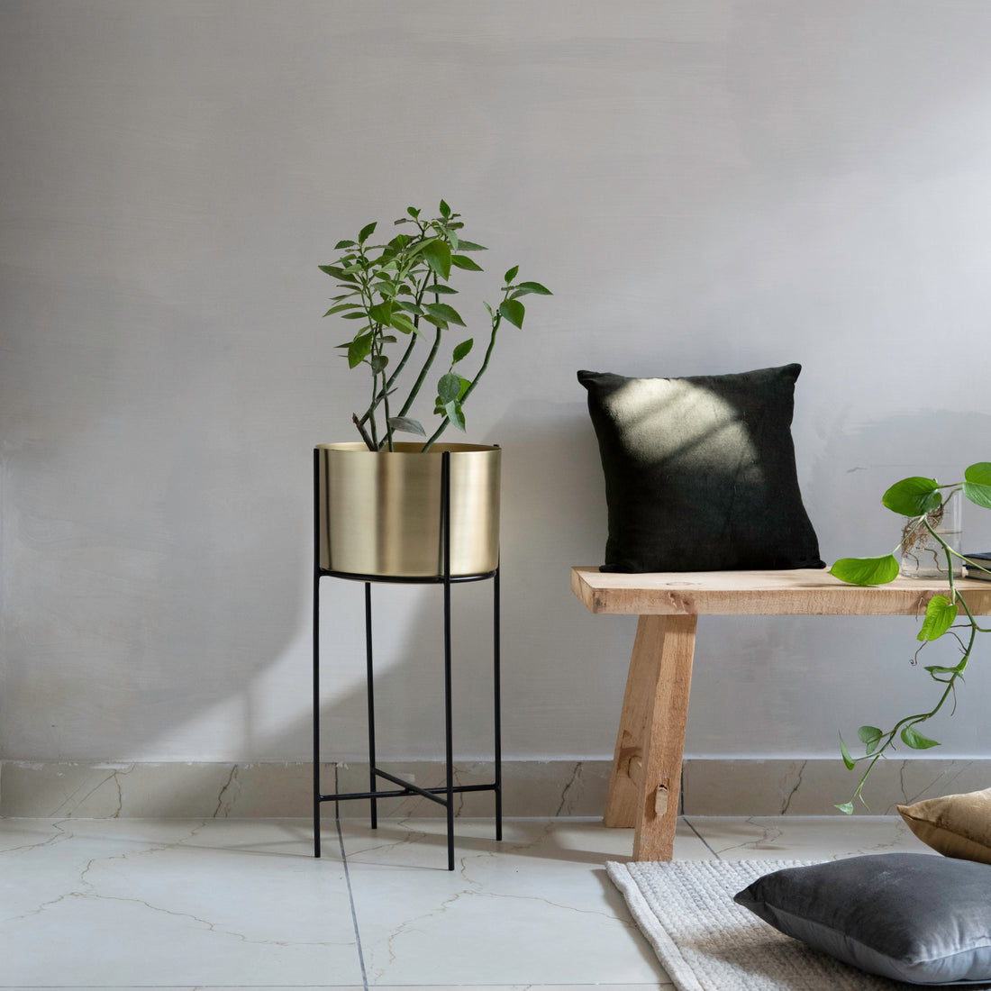 Marigold Planter, Stout, Matte gold - Fleck