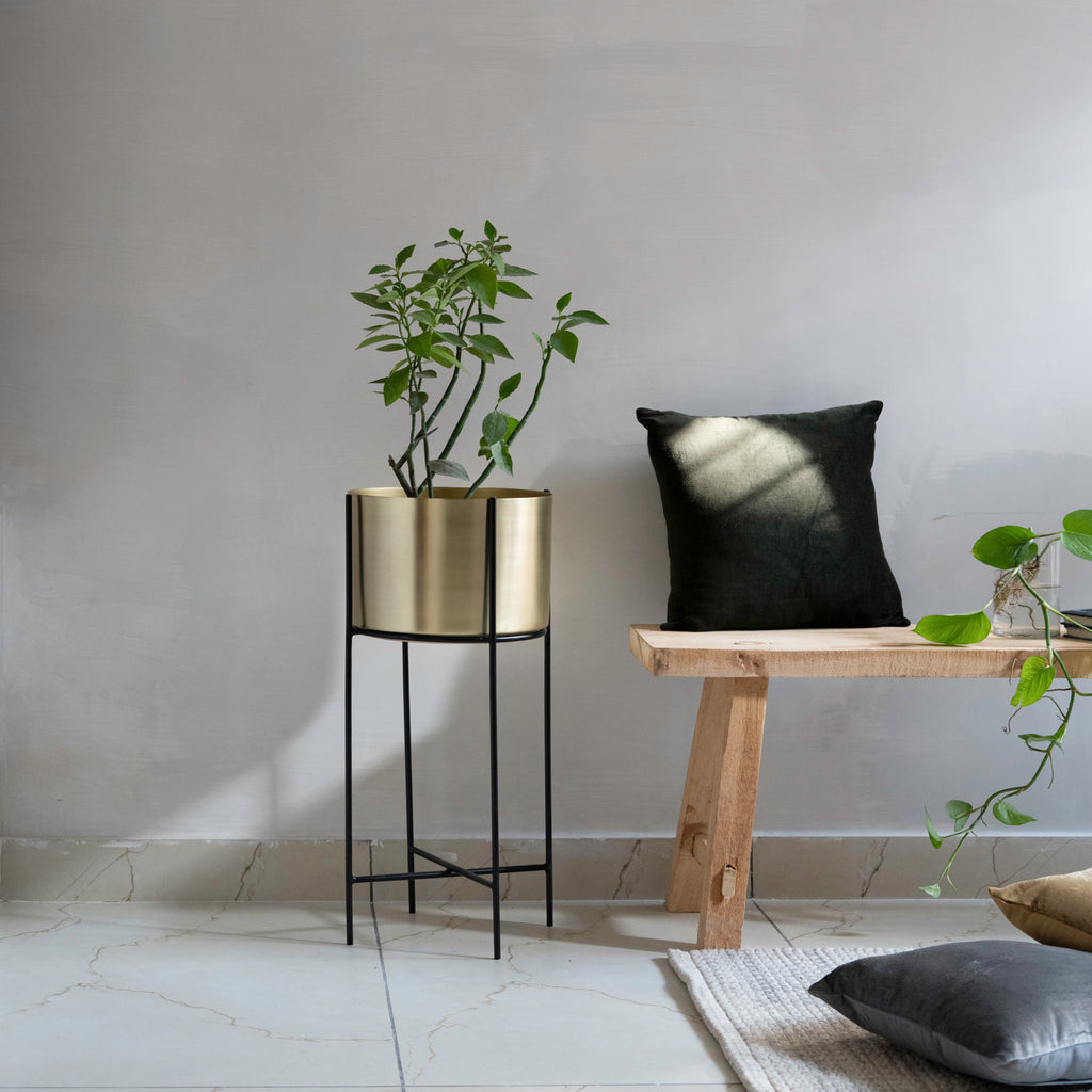 Marigold Planter, Stout, Matte gold - Fleck