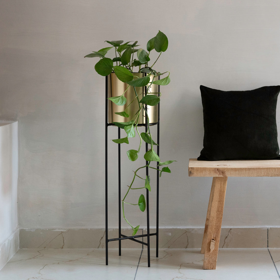 Marigold Planter, Tall, Matte gold - Fleck